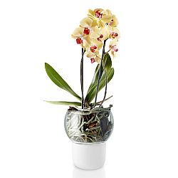 Eva Solo Sklenený samozavlažovací kvetináč na orchidey Ø 15 cm
